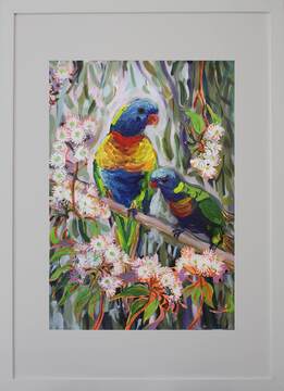 Lorikeets in the white gums A2 1mb frame