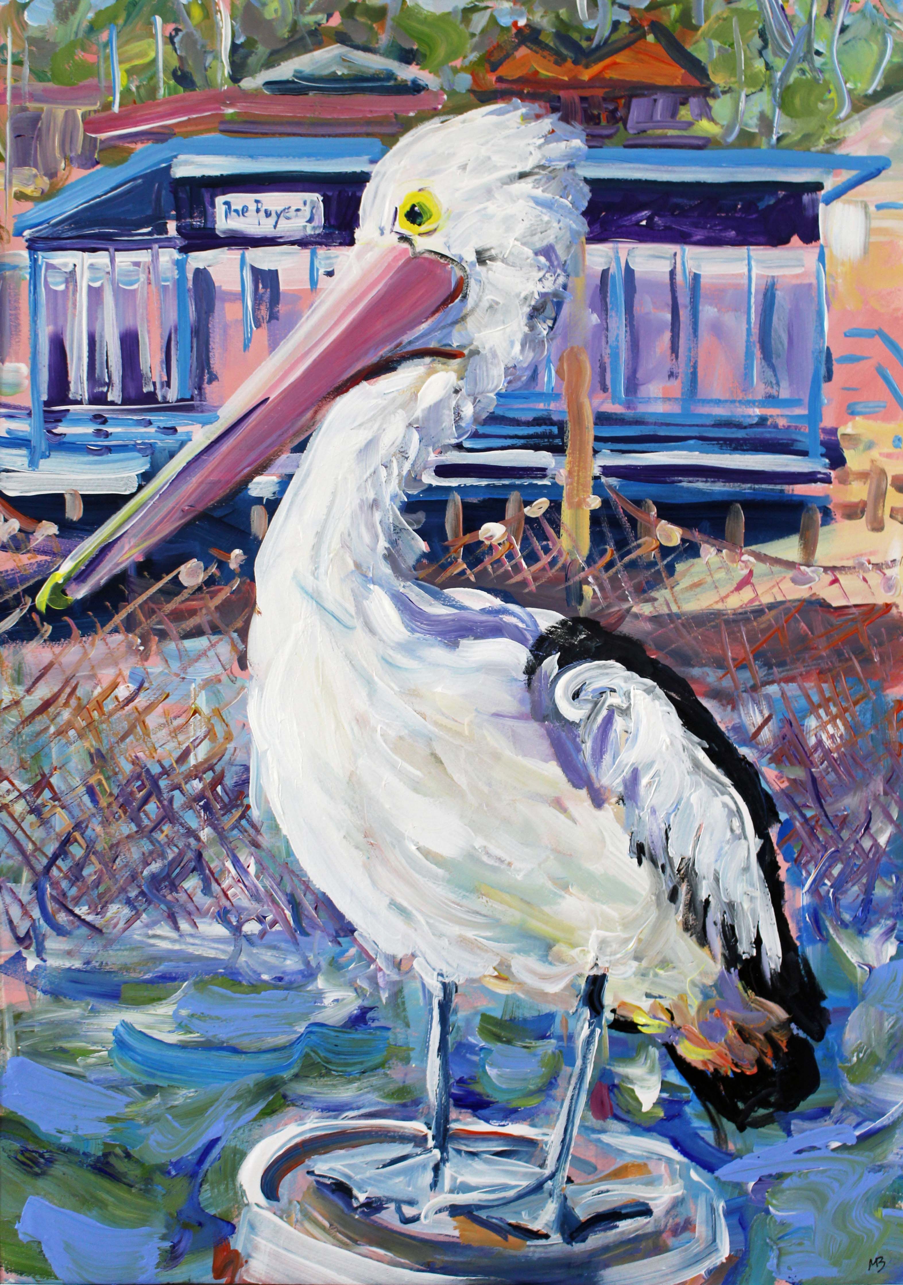 Poyer's pelican A2 image A1 frame Megan_Barrass 1mbe