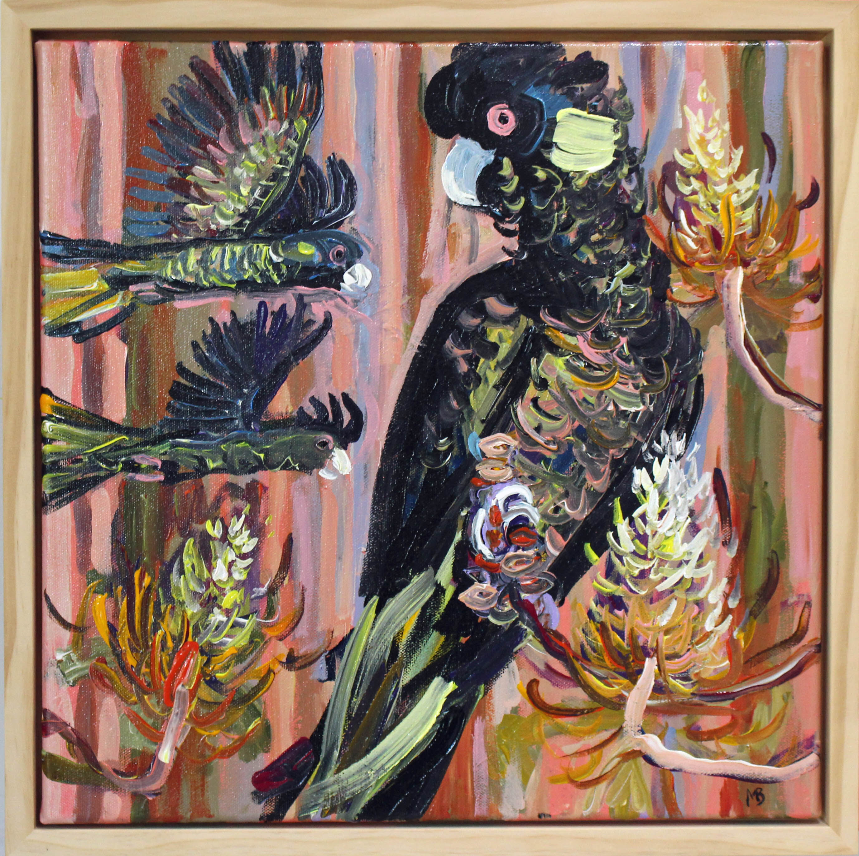 Yellow tailed black cockatoos in the Banksias 40x40cm Megan_Barrass 1mbe