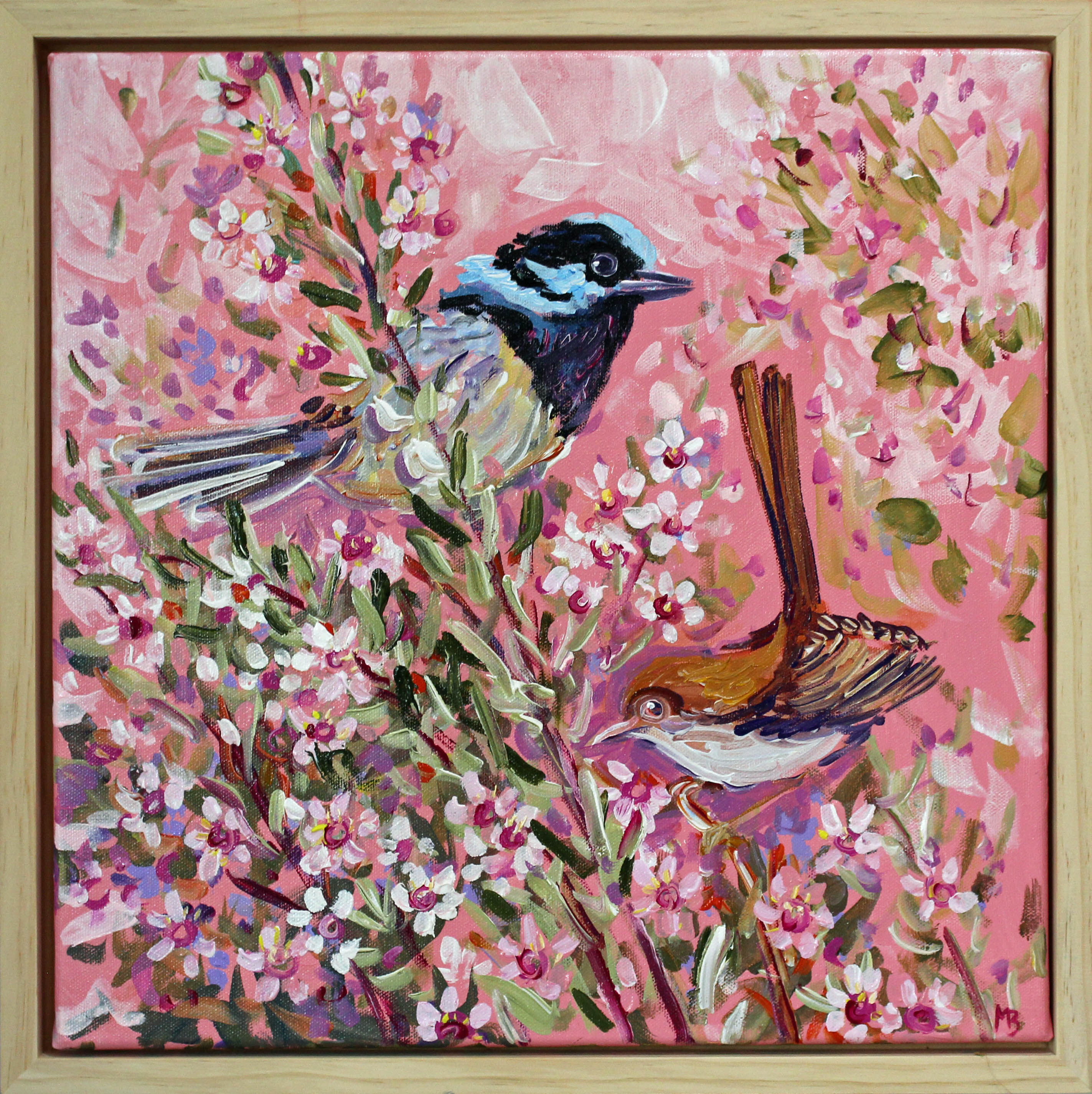 A pair of blue wrens amgonst the tea tree flowers 40x40cm Megan_Barrass 1mbe