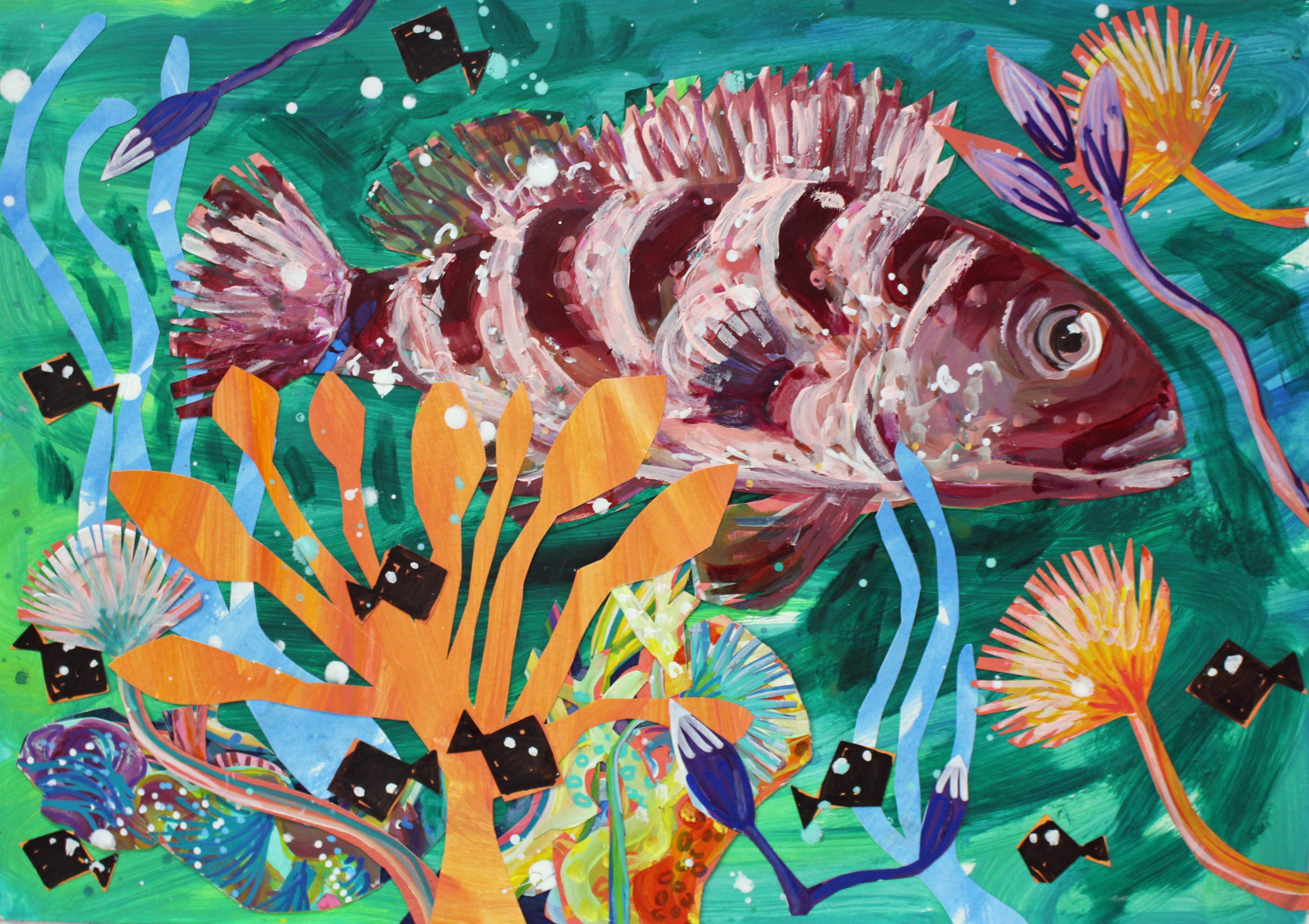 Rock cod on paper 1mbe