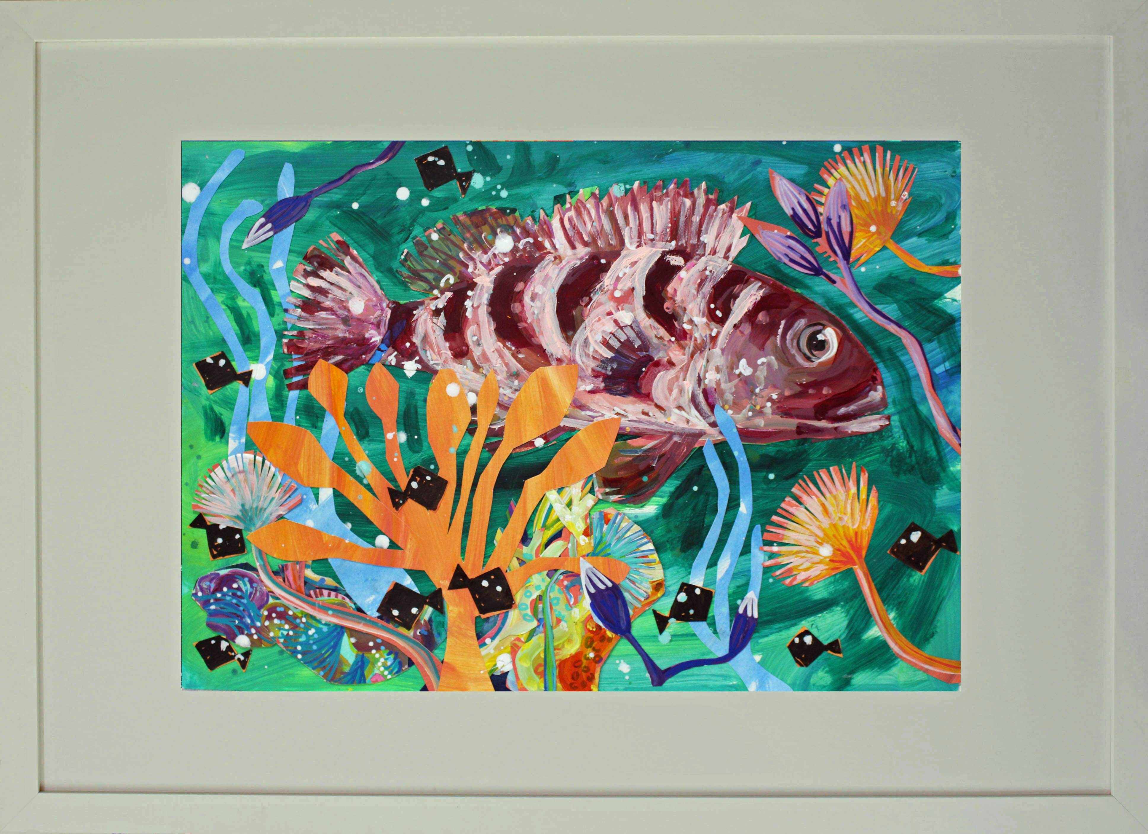 Rock cod on paper 1mb framed