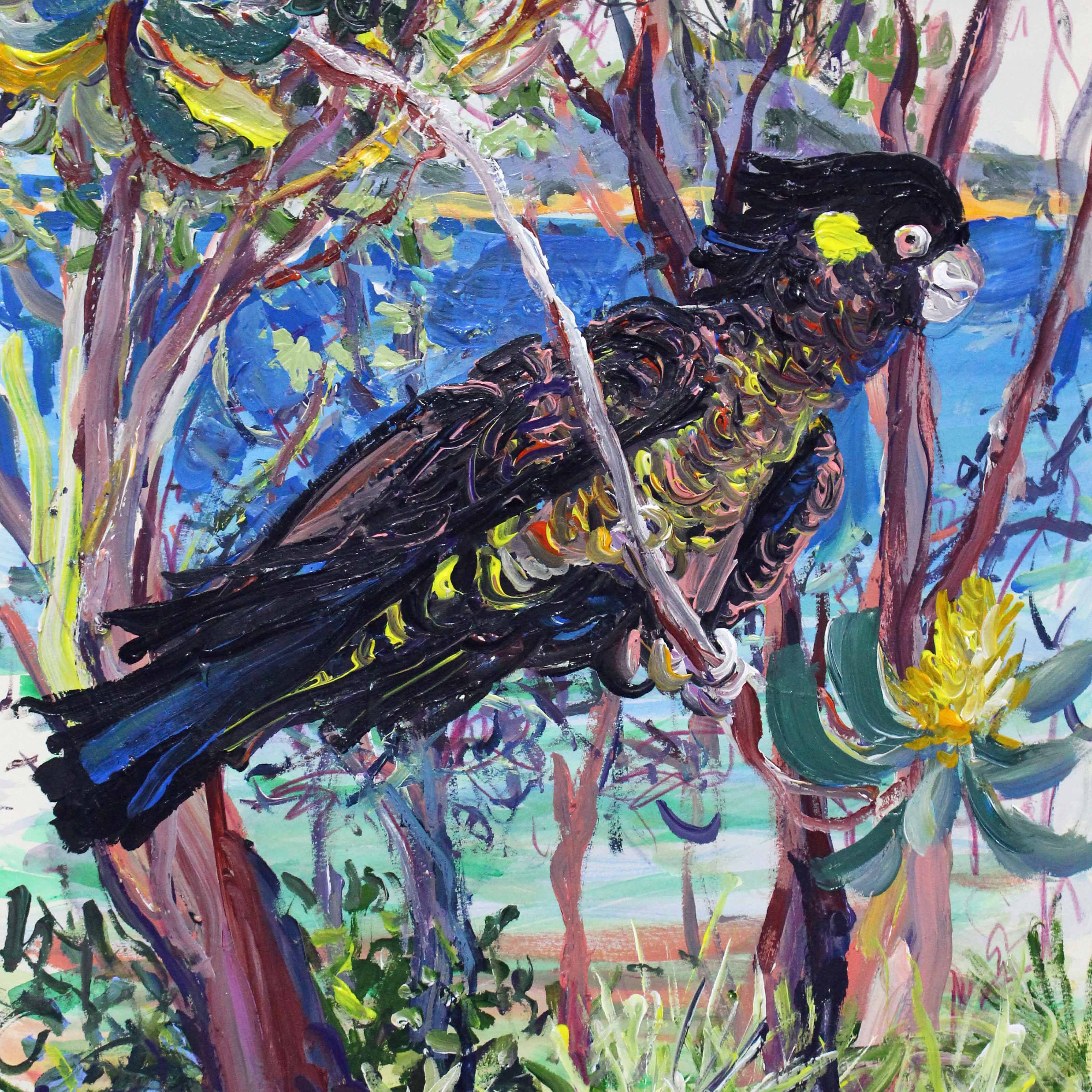 Black cockatoo painted by Megan Barrass