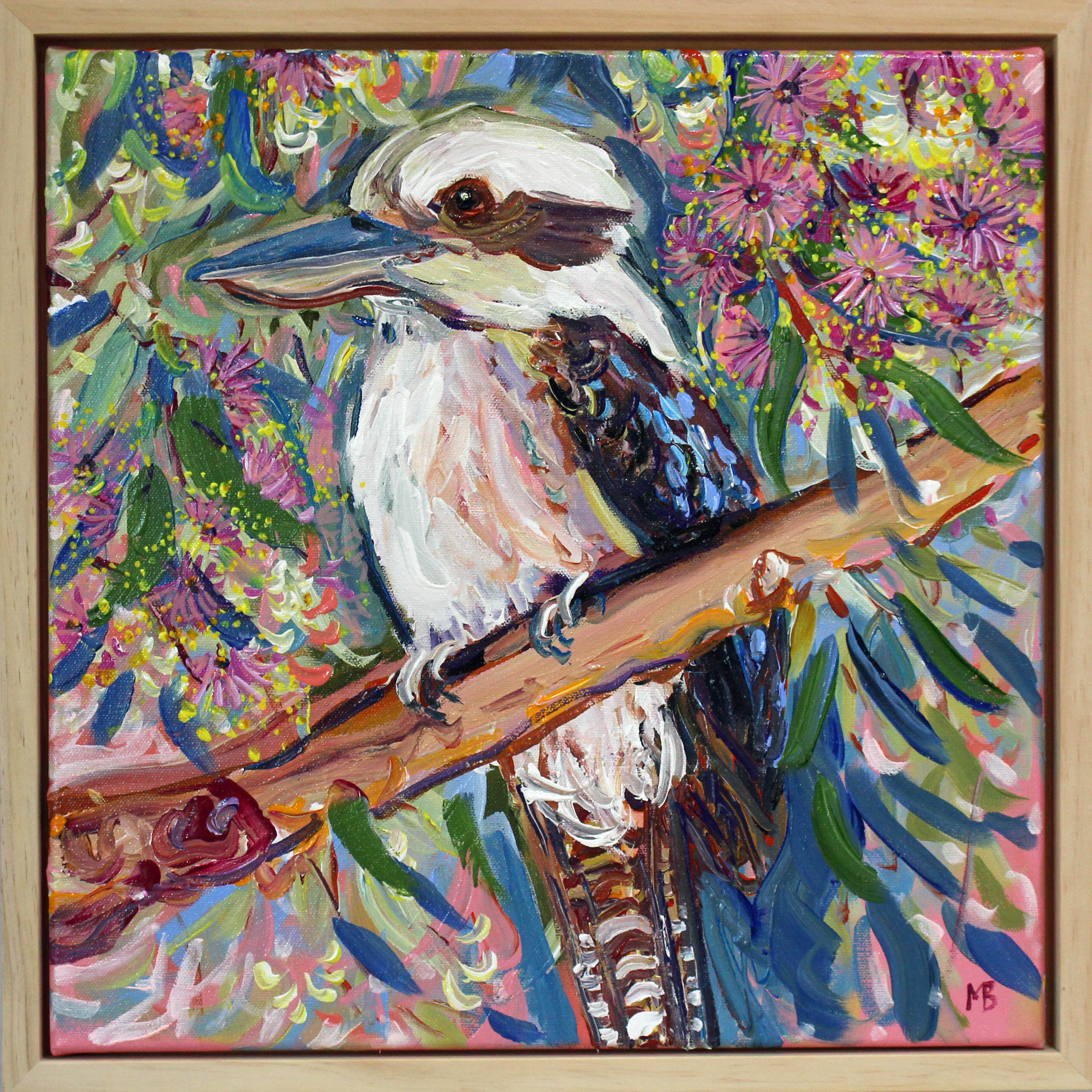 Kookaburra in the flowering gums 40x40cm Megan_Barrass 1mbe