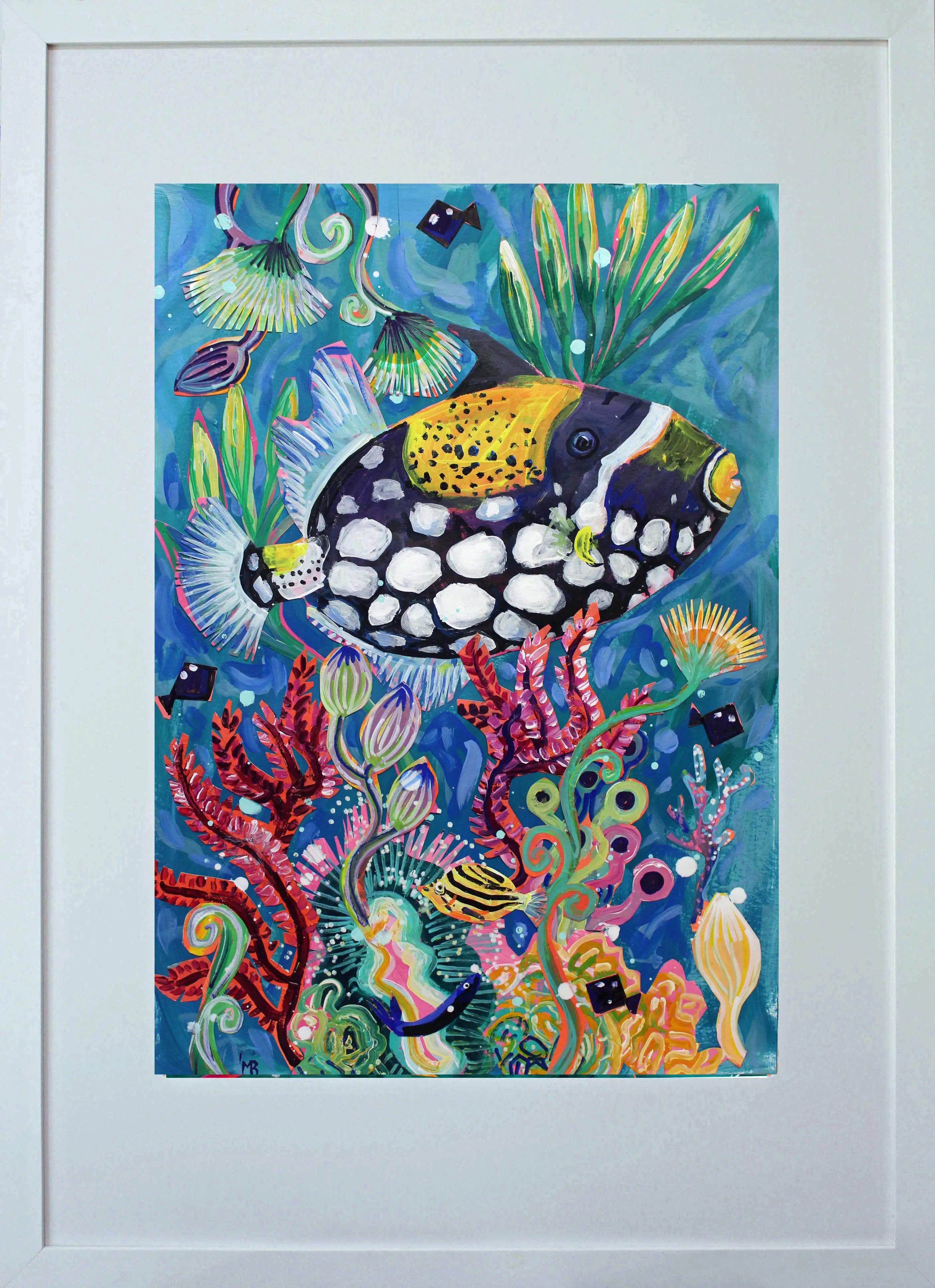 Trigger fish 1mbe framed