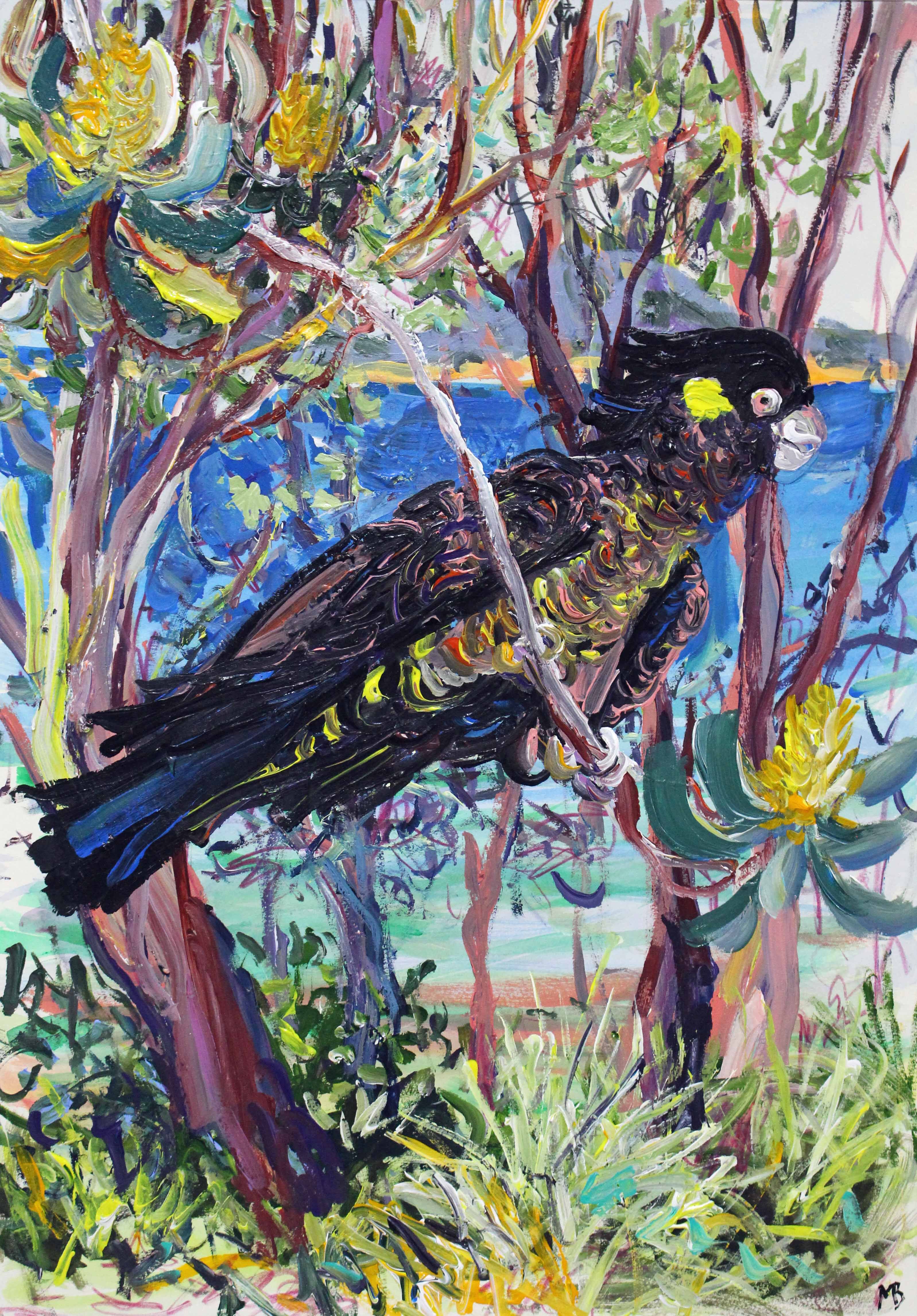 Black cockatoo painted by Megan Barrass